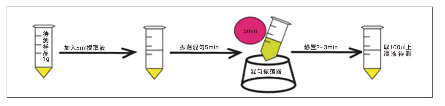 飼料中伏馬菌素熒光快速檢測試紙條