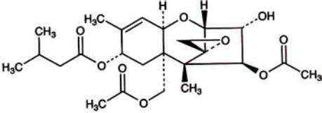 T-2毒素分子結(jié)構(gòu)