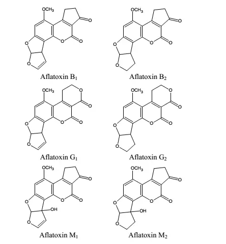 黃曲霉毒素結構