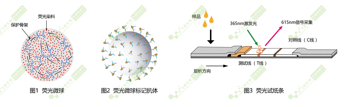 時間分辨熒光納米微球標記技術