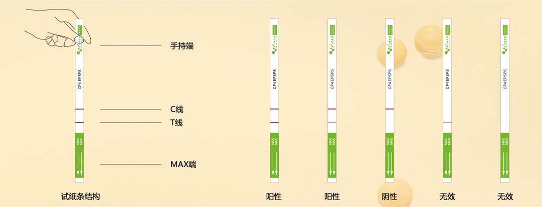 轉基因定性結果判斷