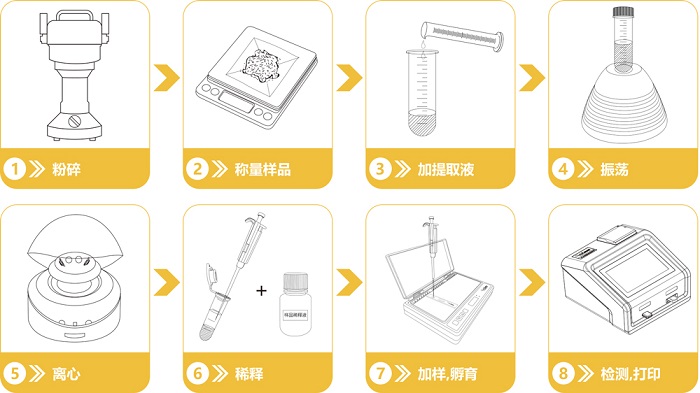 真菌毒素快速檢測流程